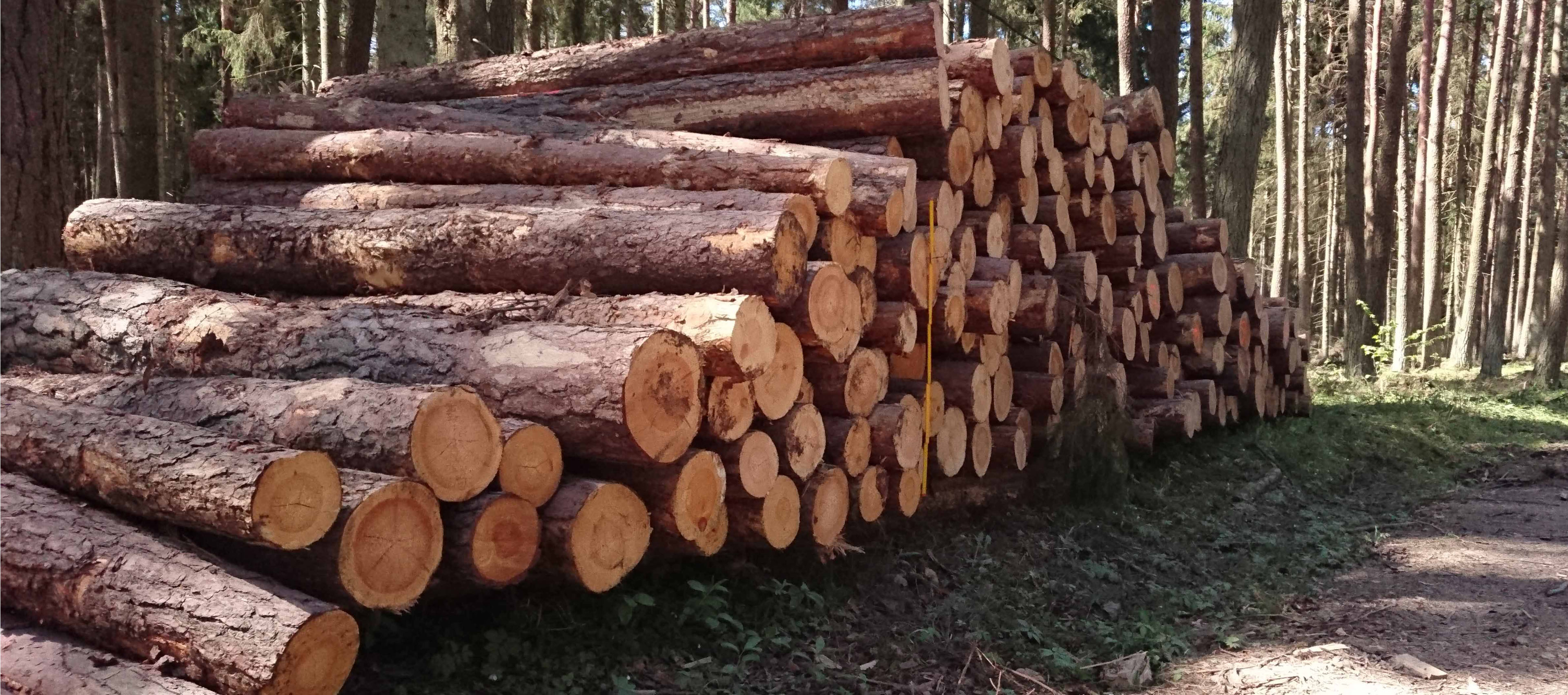 Lithuanian association of impartial timber scalers